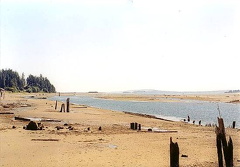 Estuary
