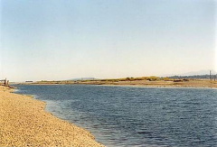 Estuary