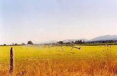 Farm Fields
