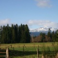 Mountain Views