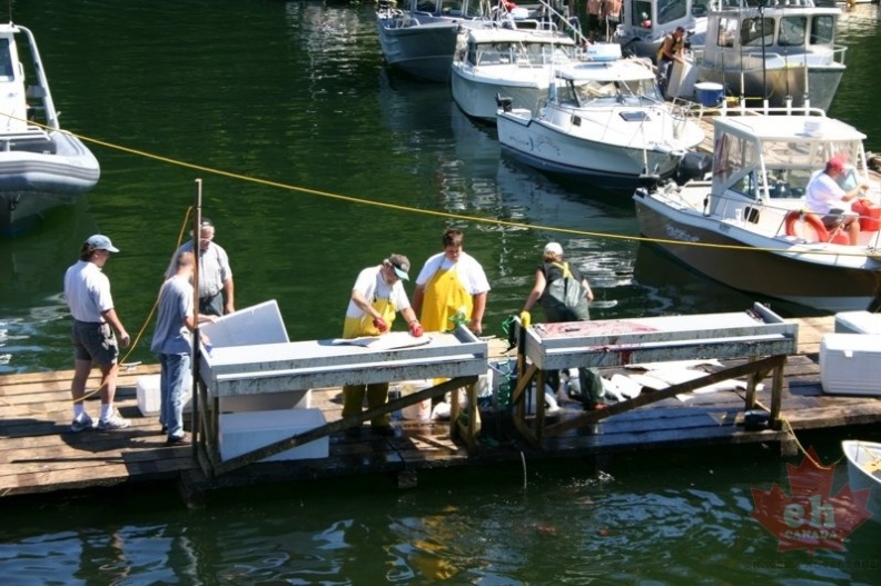 1CleaningFishCommunityWharf.jpg
