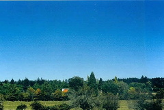 Farm Fields