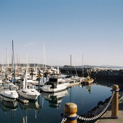 Sidney by the Sea