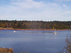 Boating & Sailing