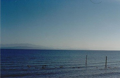 Ocean Views