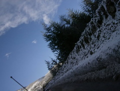 HPIM0074.jpg