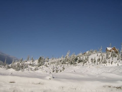 HPIM0083.jpg