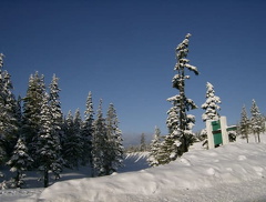 HPIM0087.jpg