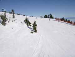 HPIM0110.jpg