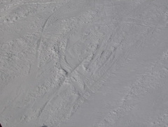 HPIM0137.jpg