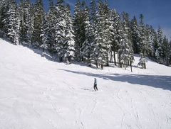HPIM0161.jpg