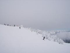 HPIM0196.jpg