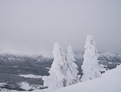 HPIM0201.jpg