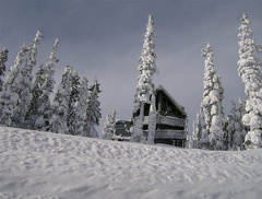 mtwashington04.jpg