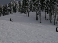 mtwashington13.jpg