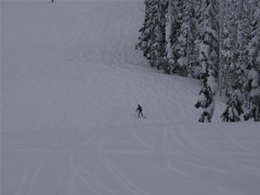 mtwashington30.jpg