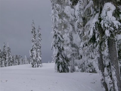 mtwashington33.jpg