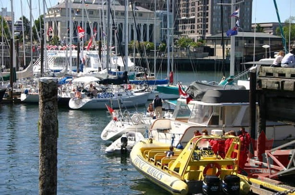 Inner Harbour marina