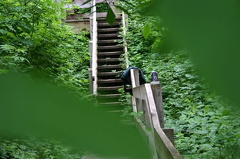 WCT Trail