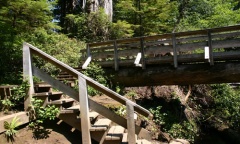 hikingtrail 006