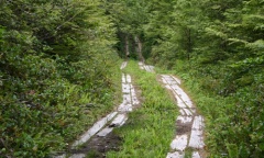 Wagon Trails of the Pioneers