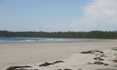Nissen Bight Beach