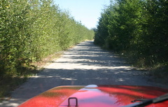BCeh.com Brother Off Roading