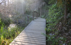 Boardwalk Trail