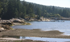 Exposed Shoreline