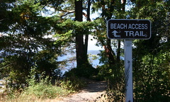 Beach Access Trail