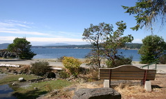 Viewing Bench