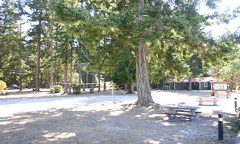 Picnic Area