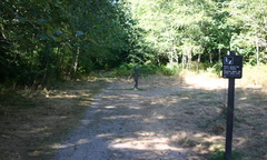 Trail to Trailheads