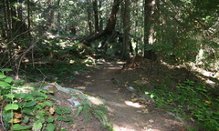 Hiking Trail