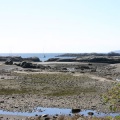 Ocean Glimpses