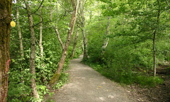 Hiking Trail