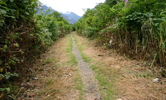Dyke Hiking Trail