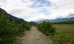 Earthy Walking Trail