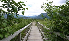 Wooden Boardwalk Entrance to Estuary from The Spit