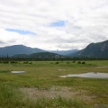 Wetlands