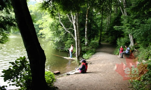 Hiking Trail and Fishing Spot on Alice lake