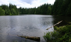 Looking up Edith lake