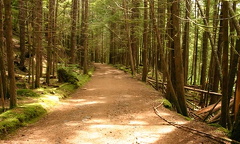 Four Lakes Trail