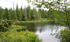 Lush surroundings of Fawn Lake