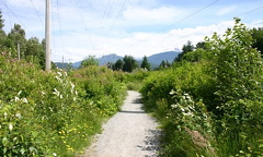 Hiking the Rotarary Trail