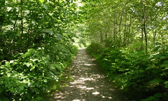River hiking trail