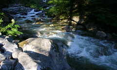 River run off from the falls