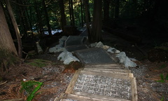Walking trail to Upper Lookout