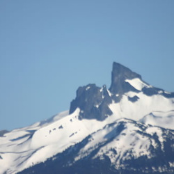 Black Tusk