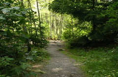 Hiking Trail